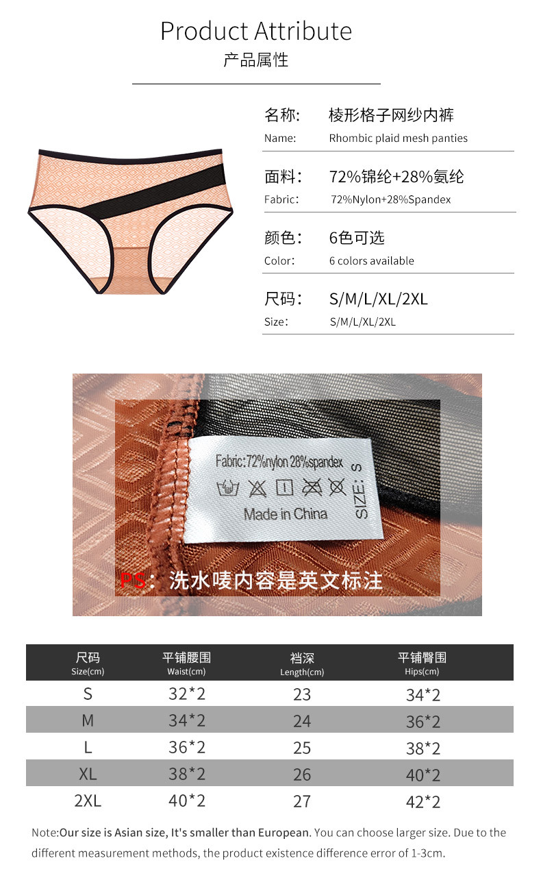 Mesh Sheer Women's Briefs12.jpg