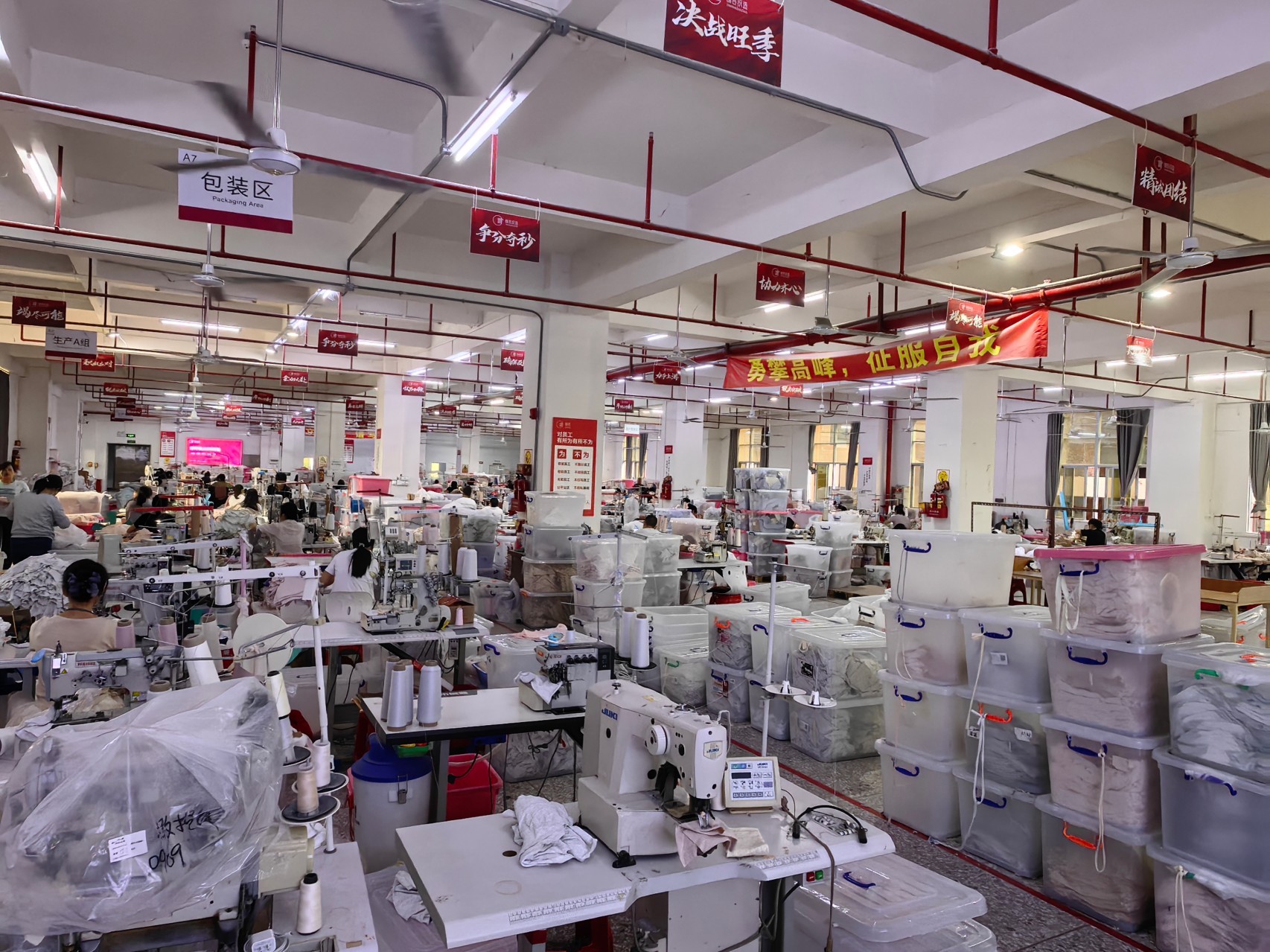 Production Line Showcase1.jpg