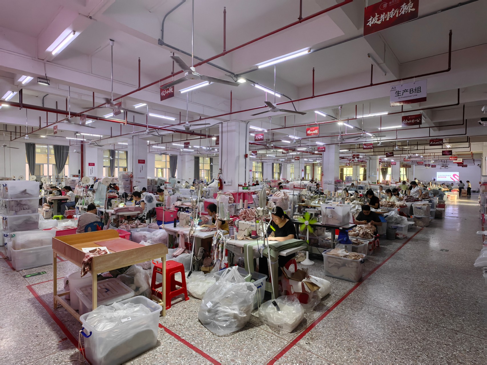 Production Line Showcase: Behind the Scenes