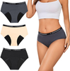 Dual-Protection Leakproof Underwear | Menstrual & Incontinence Absorbent Panties | OEM Wholesale