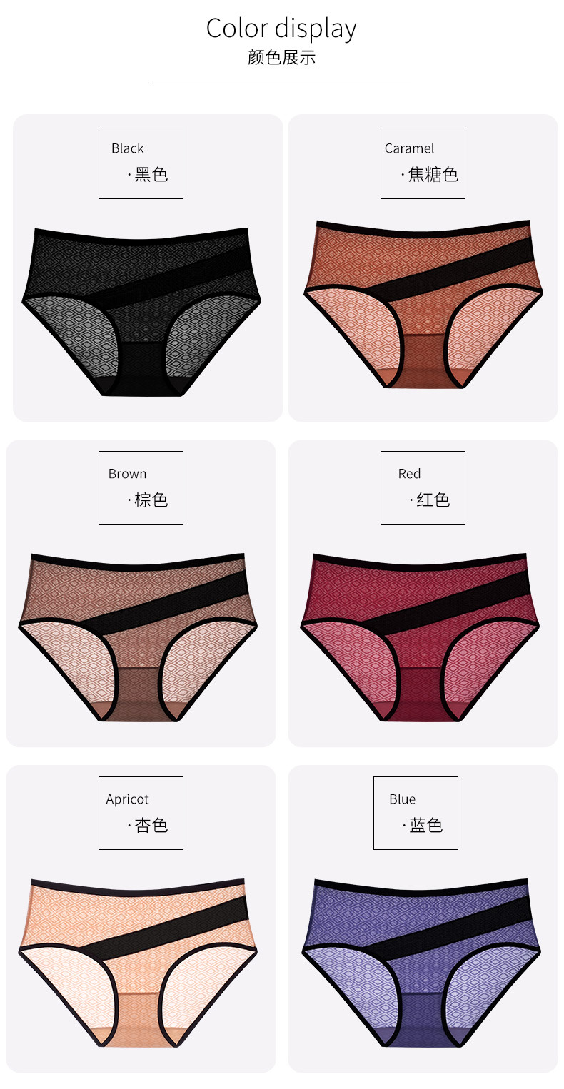 Mesh Sheer Women's Briefs2.jpg