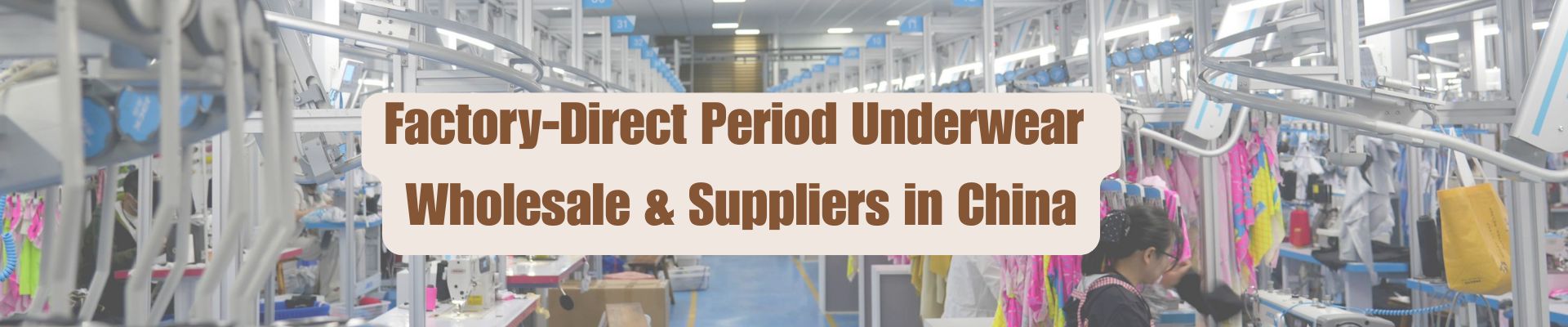 Period underwear wholesale