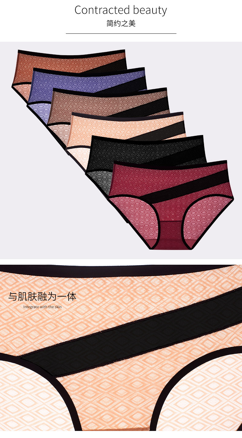 Mesh Sheer Women's Briefs3.jpg