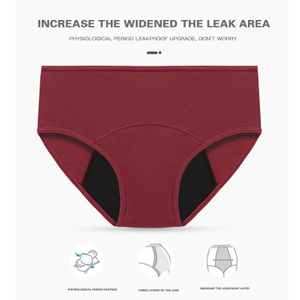 Heavy Flow Low Waist Period Panties Maximum Absorption Leak-Proof