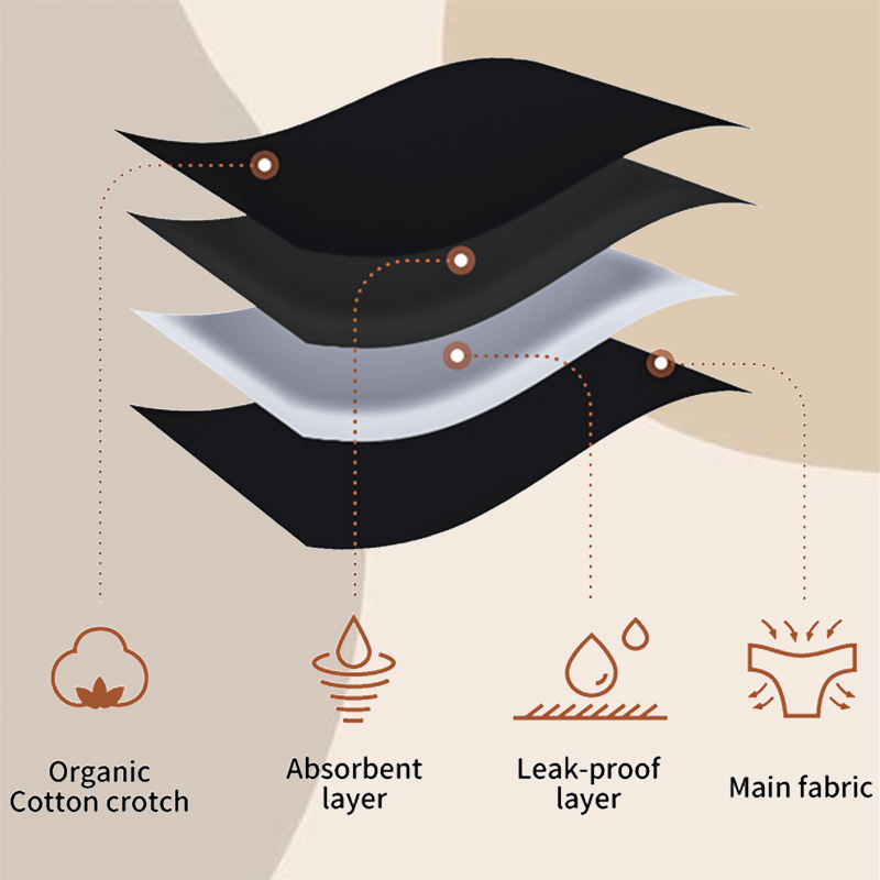 The principle of absorbent layer in menstrual underwear.jpg